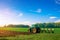 Tractor sunset. Agriculture farm machinery on landscape land field. Farmer machine equipment for crop. Combines