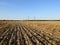 Tractor tilled wheat the field