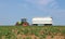 A tractor tows a directional manure spreader on cultivated field with young plants  growing