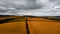 Tractor tracks in the field, Yellow colored field, Cloudy sky, autumn day