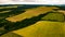 Tractor tracks in the field, Yellow colored field, Cloudy sky, autumn day