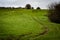 Tractor tracks through grazing field