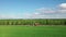 Tractor with a trailer carries mown grass rides on a road in countryside