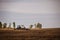 A tractor with a trailer plowing field for sowing of agricultural machinery is preparing for a new crop.