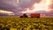 Tractor trailer on soybean field at sunset, 3d render