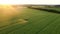 Tractor Trailer Sprays Fertilizers On Field Of Agricultural Crops Against Sunset