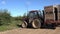 Tractor transport wooden crates with apple fruits harvest in farm. Panorama. 4K