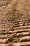 Tractor Tread Marks In Dried Mud