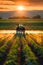 A tractor treats the field with herbicide. Selective focus.