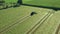 A tractor turns up the grass, aerial view.