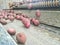 Tractor unloading potatoes in a farm