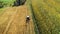 Tractor using rotary rakes machinery, harvesting details. Hay collecting and wheat production