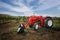 Tractor on the vineyard, Moldova