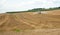 Tractor on which a trailer filled with liquid manure hangs drives over a field and sprays the liquid slurry