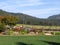 Tractor in a Winery