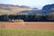 Tractor working on the farm, a modern agricultural transport, a farmer working in the field, fertile land, tractor on a sunset