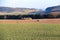 Tractor working on the farm, a modern agricultural transport, a farmer working in the field, fertile land, tractor on a sunset