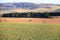 Tractor working on the farm, a modern agricultural transport, a farmer working in the field, fertile land, tractor on a sunset