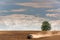 Tractor Working on Farmland. Lonely Tree on Horizon. Countryside Landscape