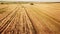 tractors and combines work.summer agricultural fields during harvest.