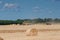 Tractors harvest wheat on the field