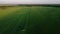 Tractors mow green grass in the fields aerial shot in summer at sunset