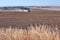 Tractors planting wheat