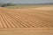 Tractors plough the fields. Belgium.