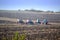 Tractors plowing hazy fall field