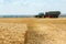 Tractors with tanks ready to collect new wheat harvest on a field