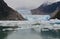 Tracy Arm fjord, Sawyer glacier