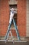 Tradesman on a ladder