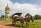 Tradiitional burmese horse cart with wooden wheels