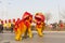 Traditioal Chinese lion dancing