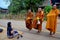 Tradition of almsgiving with sticky rice by Monks procession