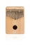 Traditional African instrument Kalimba