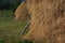 Traditional agriculture in Maramures, Romania.