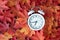 Traditional alarm clock on a background of orange and yellow maple leaves, fall time change concept