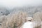 Traditional alpine house in the coniferous forest, Swiss ski resort