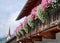 Traditional alpine style house with colorful floral arrangement on balcony in picturesque village