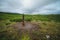 Traditional altai hitching post in a misty landscape