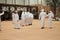 Traditional Arabic Dance at Abu Dhabi International Hunting and Equestrian Exhibition (ADIHEX)