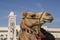 Traditional arabs riding camels close up in front of the Grand Mosque in Doha, Qatar