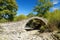 Traditional arched stone bridge of Zagori region in Northern Greece. Iconic bridges were mostly built during the 18th and 19th