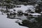 Traditional arranged tranquil Buddhist garden in winter with snow and still pond