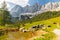 Traditional Austrian mountain village close to Hoher Dachstein, Neustattalm, Austria