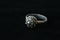 Traditional authentic Shibenik silver ring on black background. Shibenik button. Croatian vintage jewelry