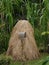 Traditional balinese hay stack made of rice straw