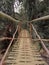 traditional bamboo bridges that are usually found in many remote villages