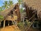 traditional bamboo hut in Auroville